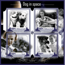 Космос Собаки в космосе